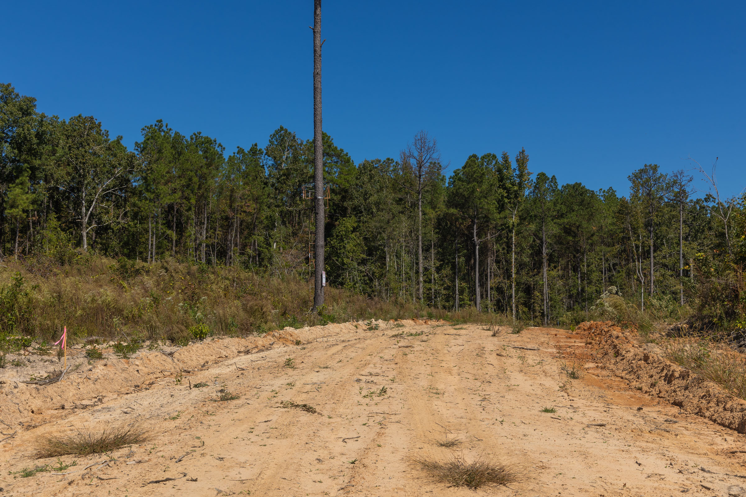 Tract 16 at Meyers Ridge in Attala County, Mississippi
