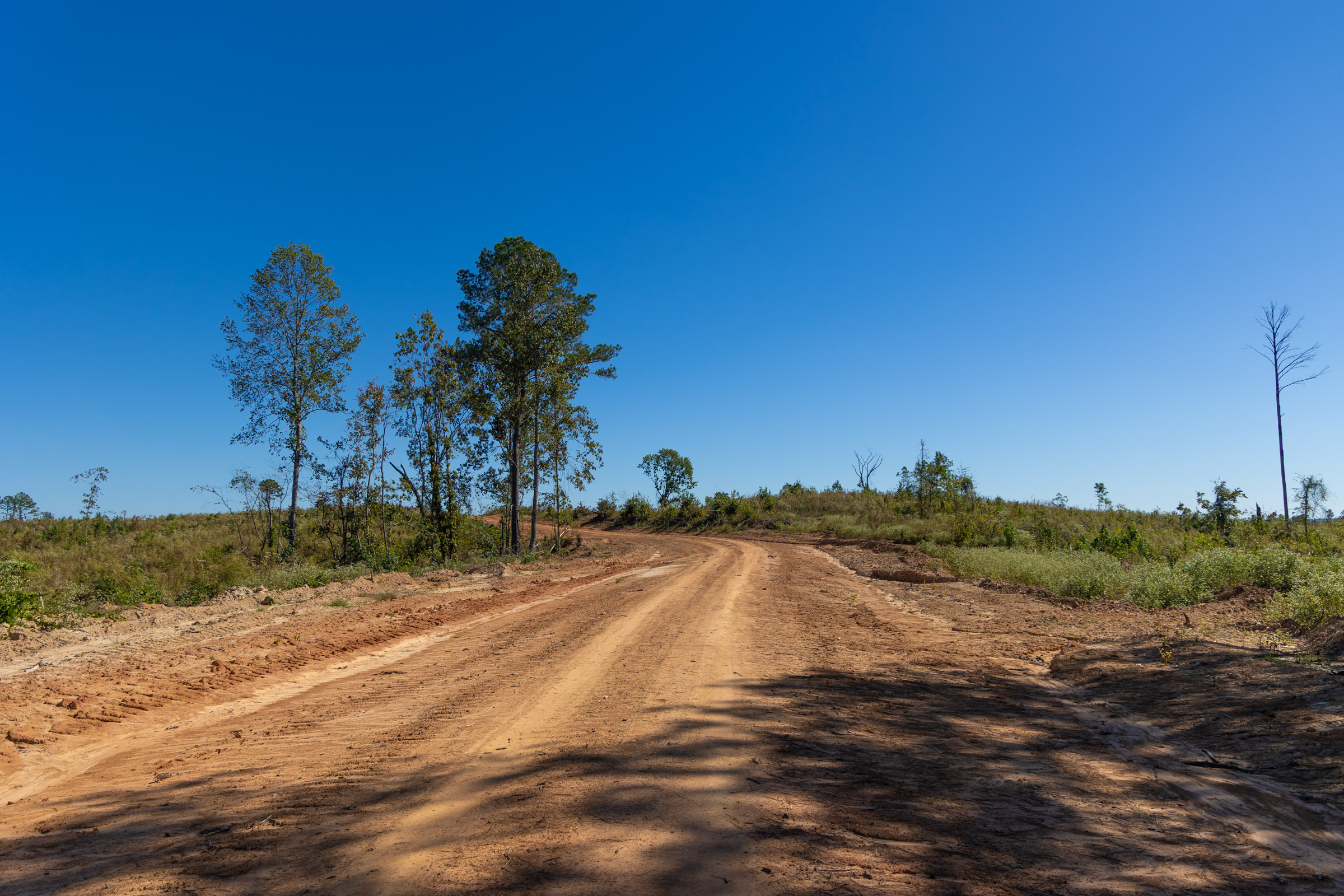 Tract 19 at Meyers Ridge in Attala County, Mississippi