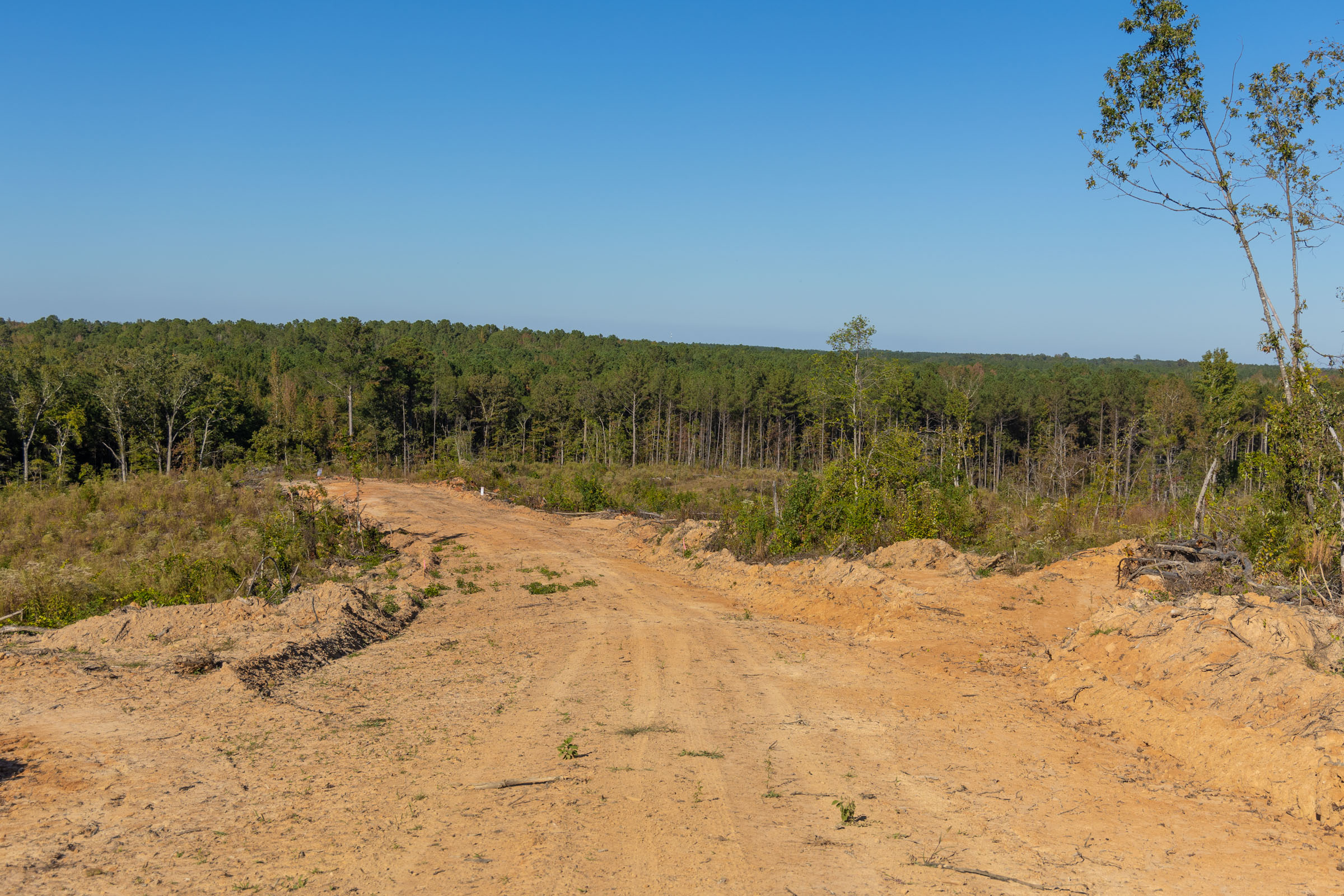 Tract 22 at Meyers Ridge in Attala County, Mississippi