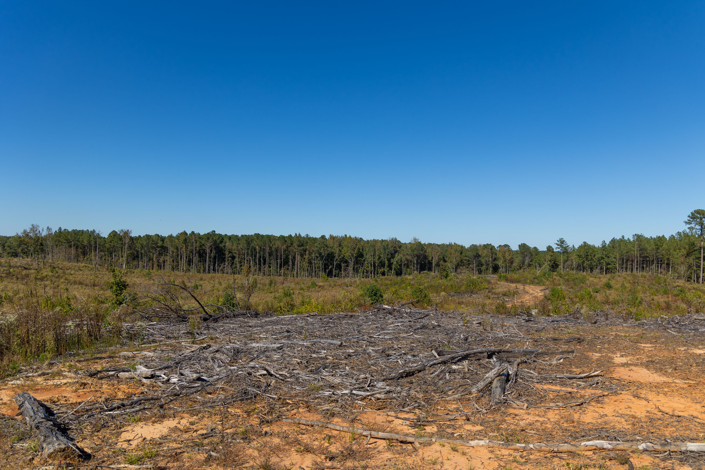 Tract 28 at Meyers Ridge in Attala County, Mississippi