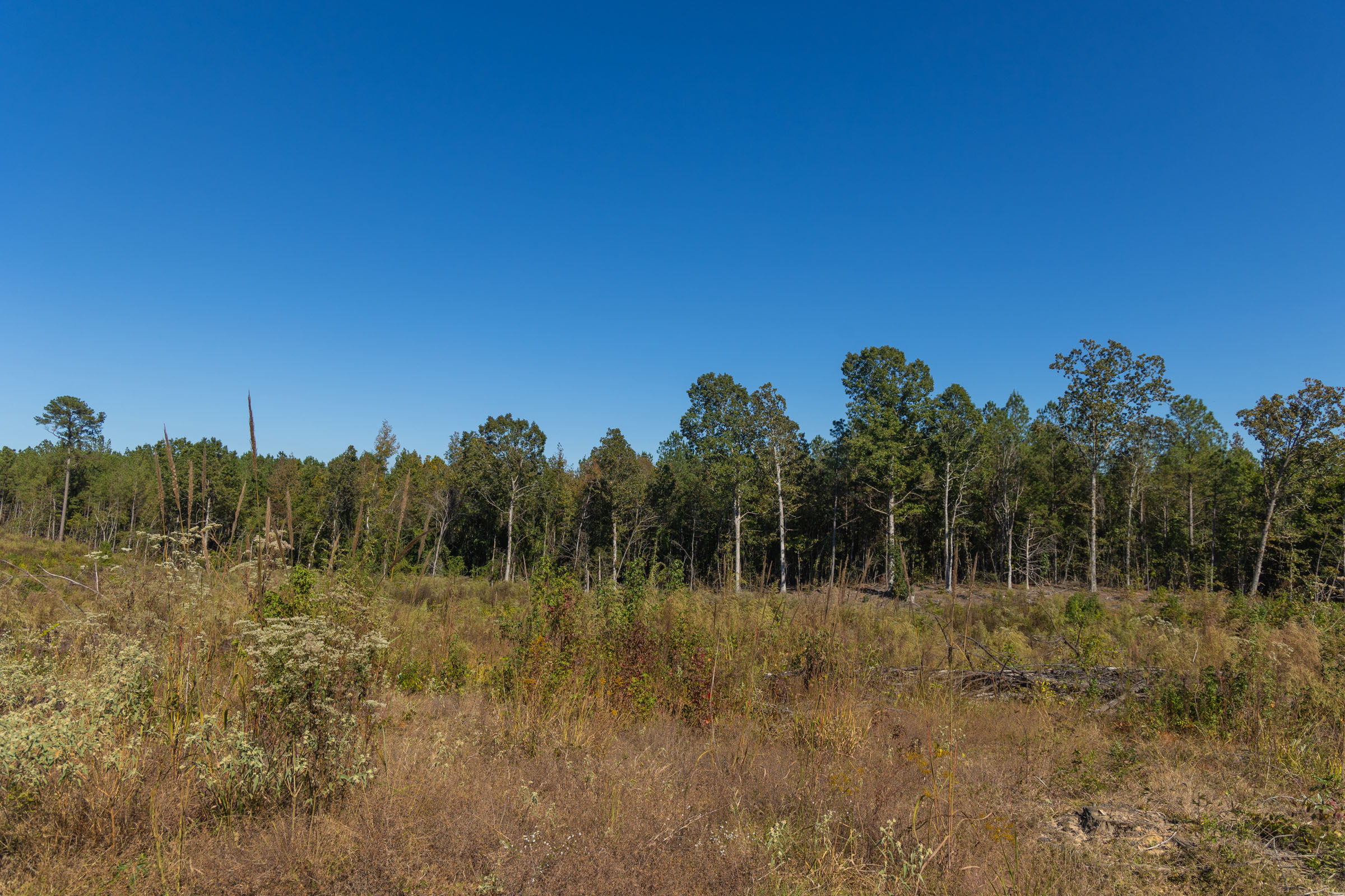Tract 29 at Meyers Ridge in Attala County, Mississippi