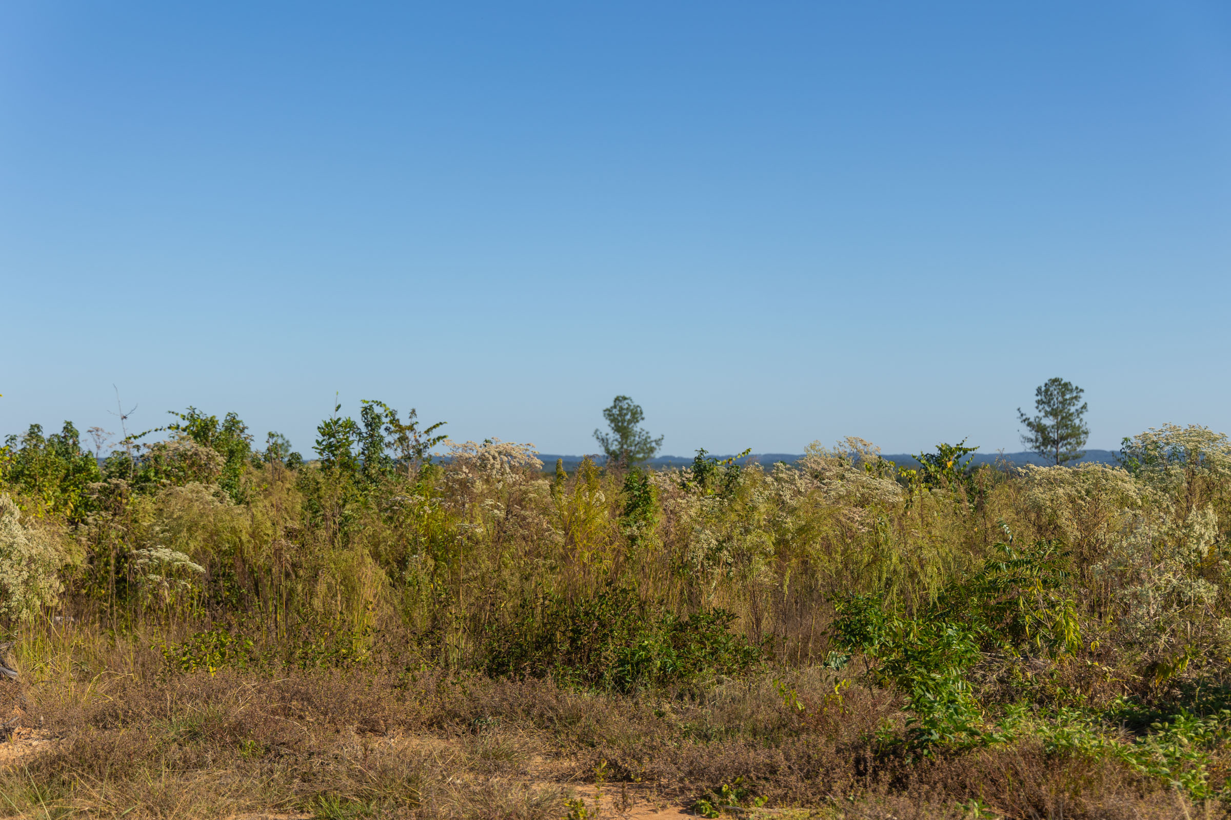 Tract 31 at Meyers Ridge in Attala County, Mississippi