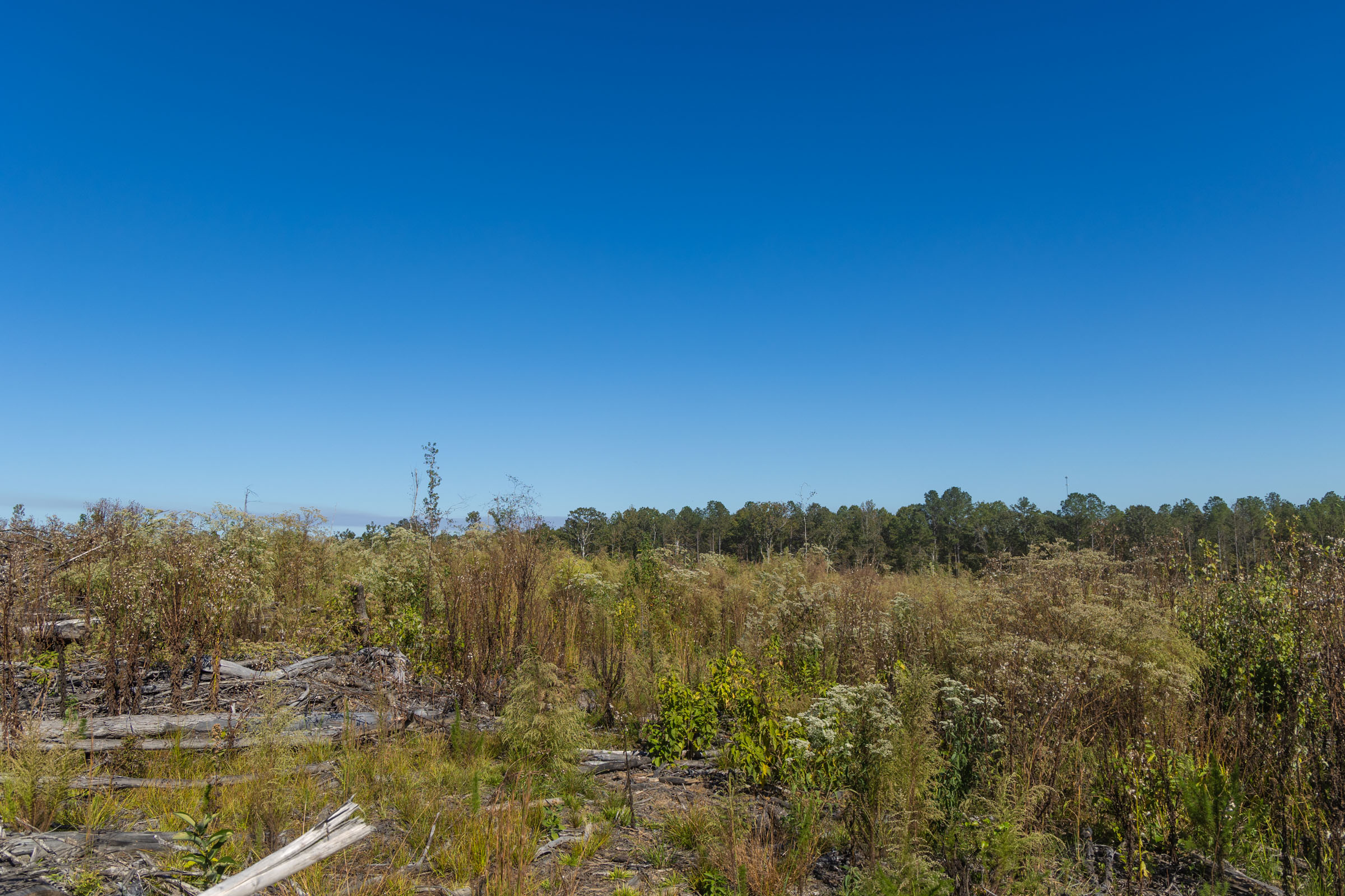 Tract 35 at Meyers Ridge in Attala County, Mississippi