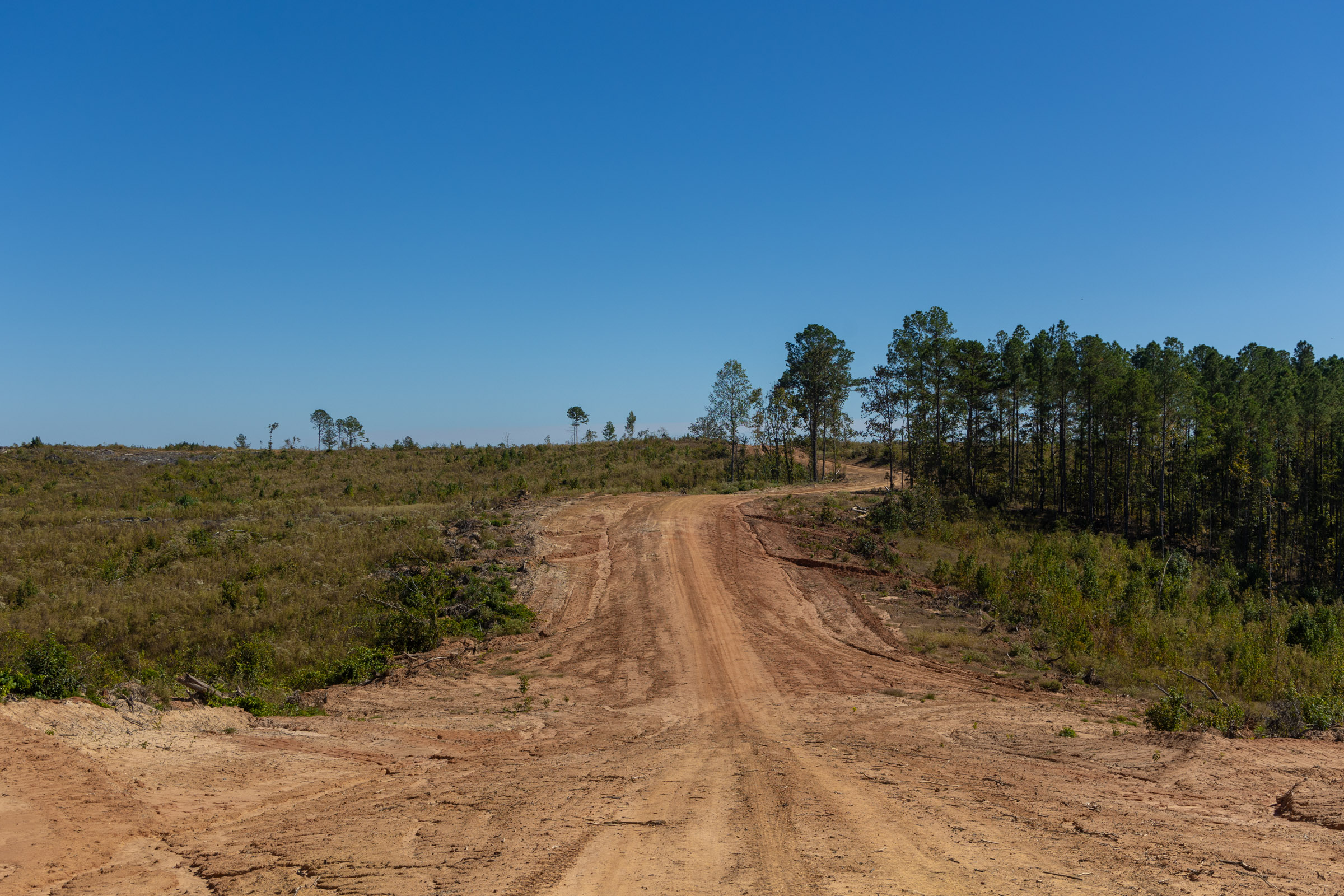 Tract 6 at Meyers Ridge in Attala County, Mississippi