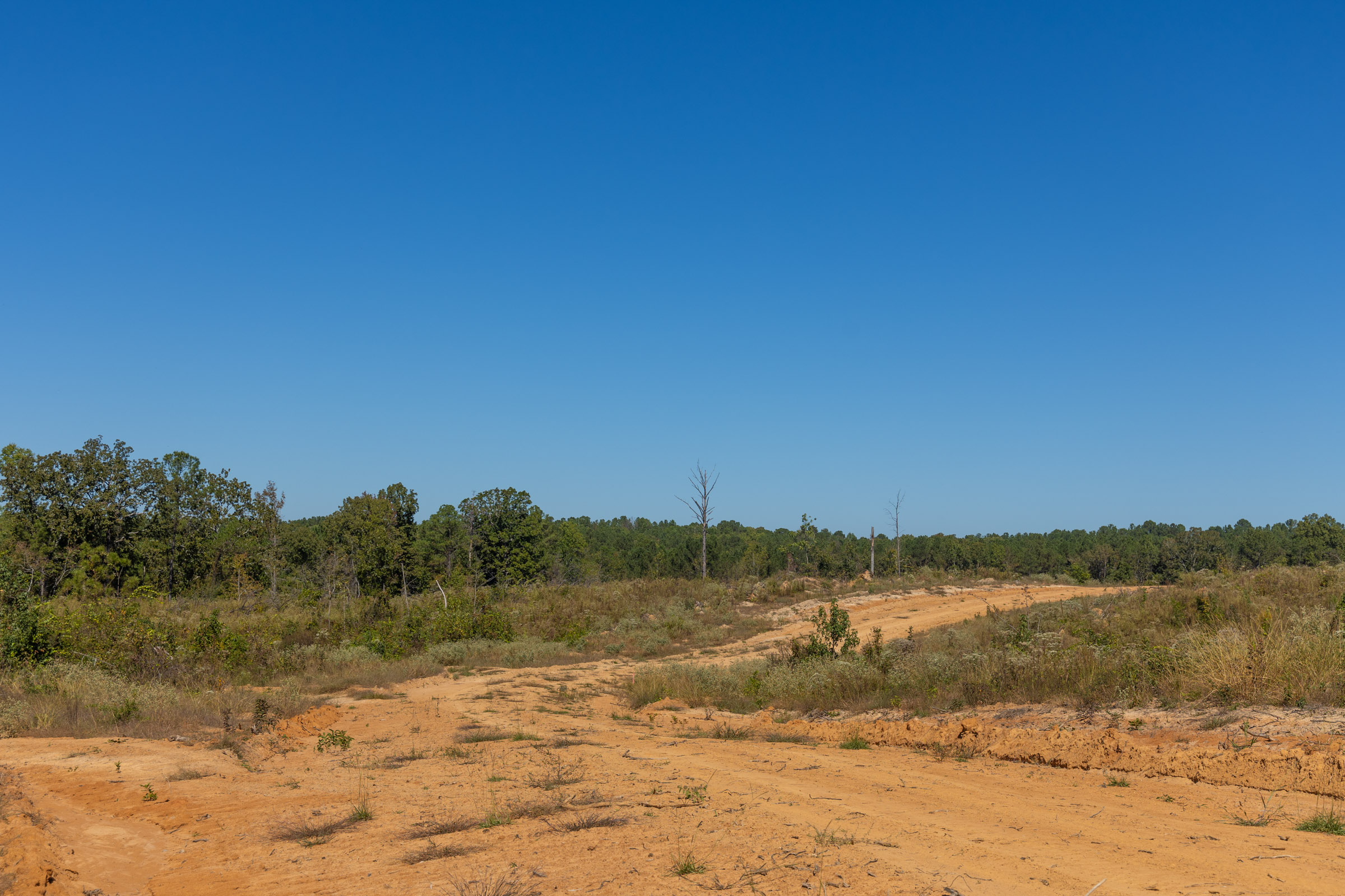 Tract 9 at Meyers Ridge in Attala County, Mississippi